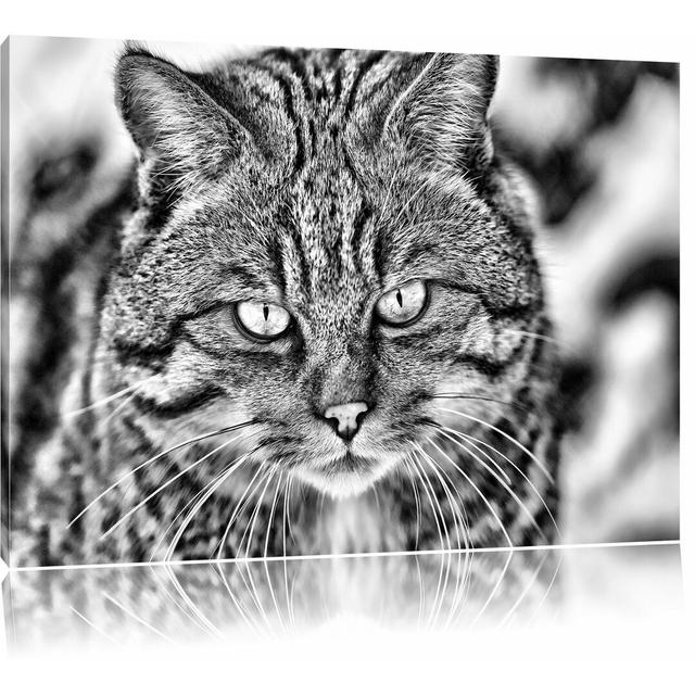 Leinwandbild Lauernde Manul in Monochrom East Urban Home Größe: 70 cm H x 100 cm B on Productcaster.