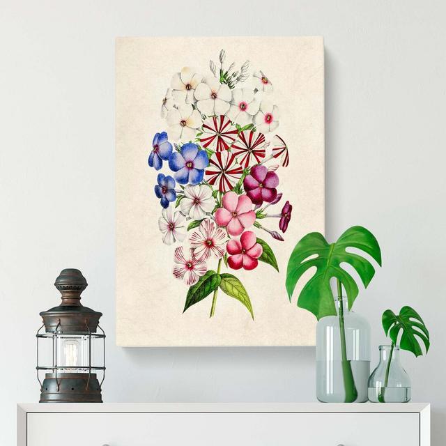 Illustration of a Petunia Flowers - Wrapped Canvas Painting Print East Urban Home Size: 50cm H x 35cm W x 3cm D on Productcaster.