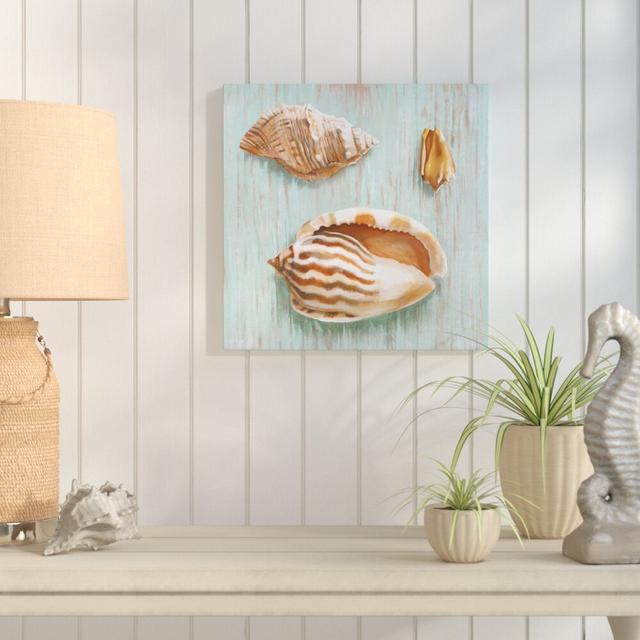 Maritimas Treasures III by SAI - Wrapped Canvas Print East Urban Home Size: 30cm H x 30cm W x 4cm D on Productcaster.