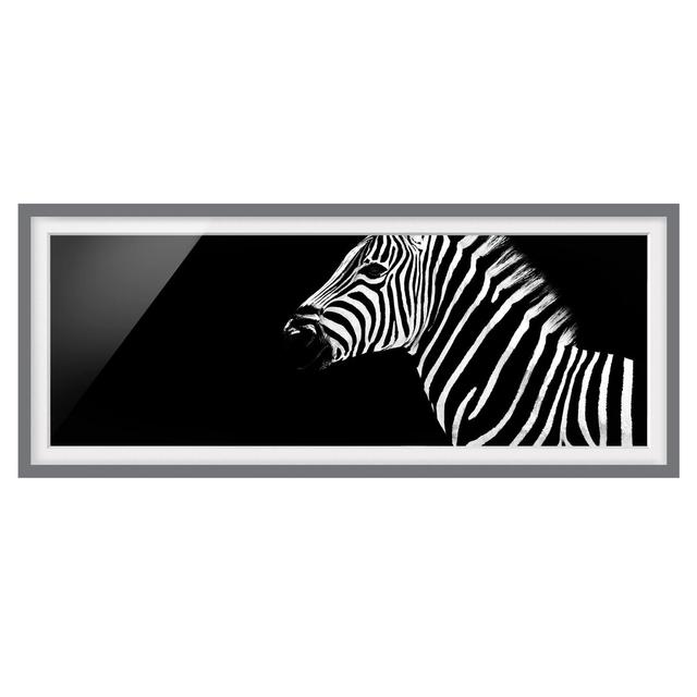 Zebra Safari Art - Picture Frame Photograph Union Rustic Size: 30cm H x 75cm W x 2cm D, Frame Option: Grey Framed on Productcaster.