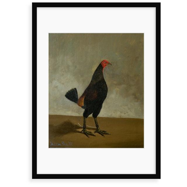 'Fighting Cock.' Painting Brambly Cottage Size: 40 cm H x 30 cm W x 2.3 cm D, Format: Framed Paper on Productcaster.