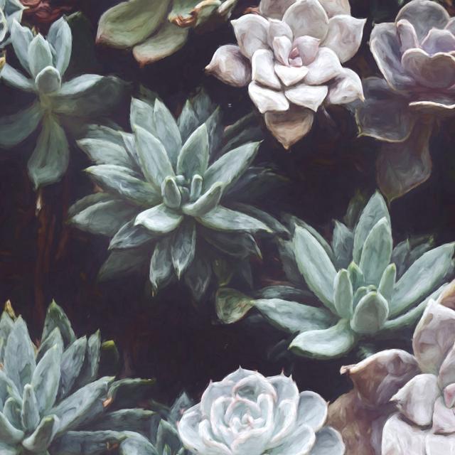 Succulent Garden - Wrapped Canvas Painting World Menagerie Size: 122cm H x 122cm W x 3.8cm D on Productcaster.