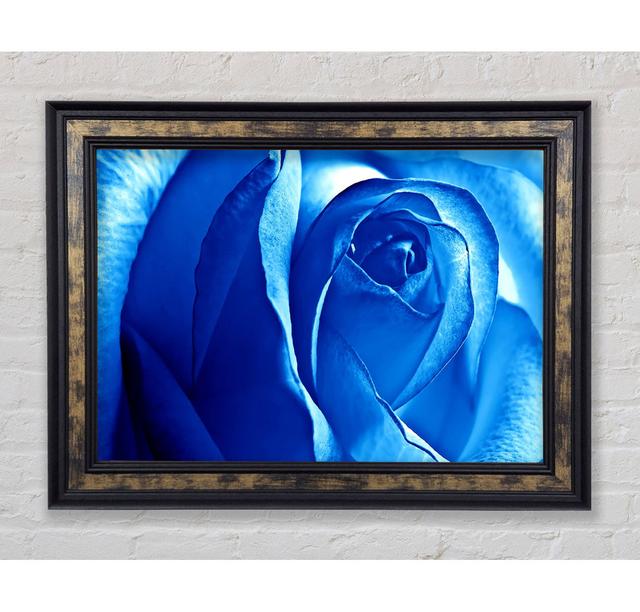 Blaue Rose - Einzelner Bilderrahmen Kunstdrucke Bright Star Größe: 84,1 cm H x 142,2 cm B x 8 cm T on Productcaster.