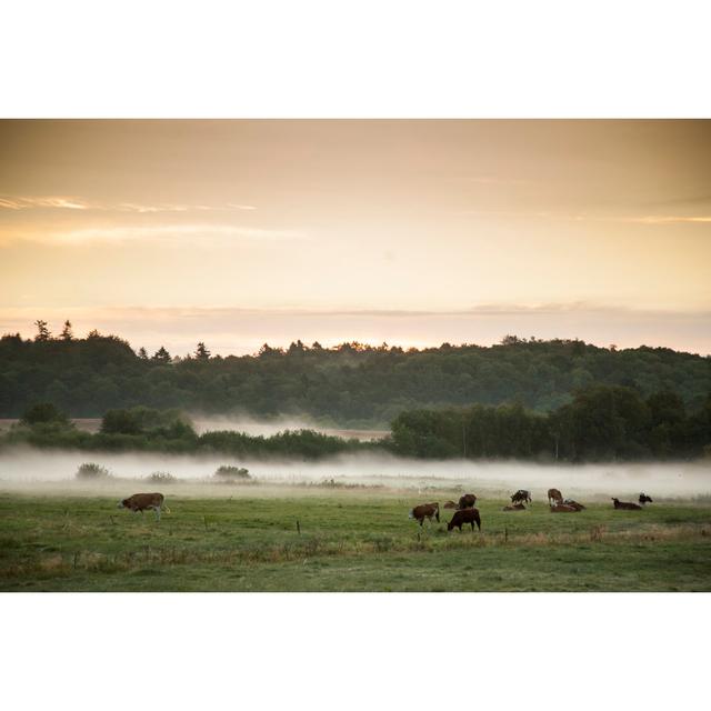 Haze And Fog Landscape by PalleC - Wrapped Canvas Print Alpen Home Size: 20cm H x 30cm W on Productcaster.