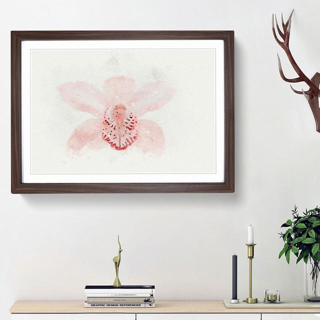 Light Pink Boat Orchid in Abstract - Picture Frame Graphic Art Print East Urban Home Frame Option: Walnut Framed, Size: 36cm H x 48cm W x 2cm D on Productcaster.