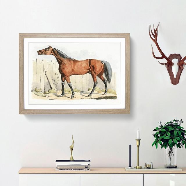 Dark-Brown Horse by Henry Alken - Picture Frame Painting Print on MDF East Urban Home Frame Option: Oak Framed, Size: 27cm H x 36cm W x 2cm D on Productcaster.