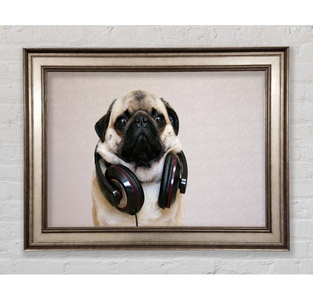 Cool Pug Wearing Headphones - Single Picture Frame Art Prints Bright Star Size: 29.7cm H x 42cm W x 8cm D on Productcaster.