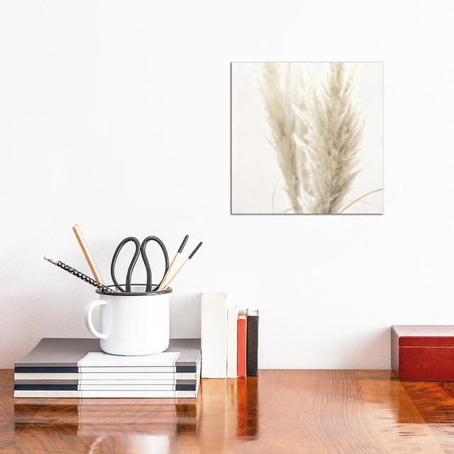 Pampas Reed II Square by Monika Strigel - Wrapped Canvas Print Latitude Run Size: 30.48cm H x 30.48cm W x 1.9cm D on Productcaster.