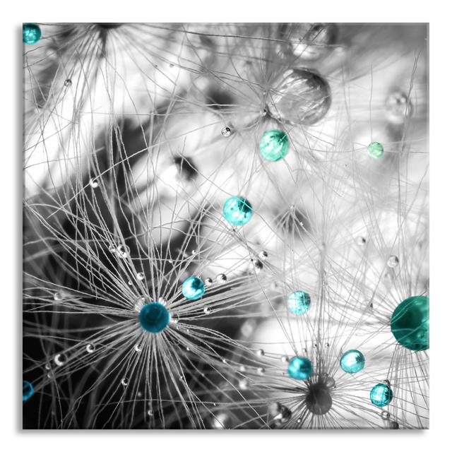 Glasbild Wassertropfen auf Pusteblume Brayden Studio Größe: 80 cm H x 80 cm B x 0,4 cm T on Productcaster.