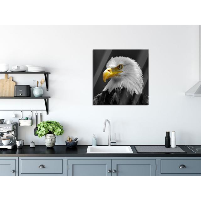 Glasbild Impressive Bald Eagle Union Rustic Größe: 70 cm H x 70 cm B x 0.4 cm T on Productcaster.