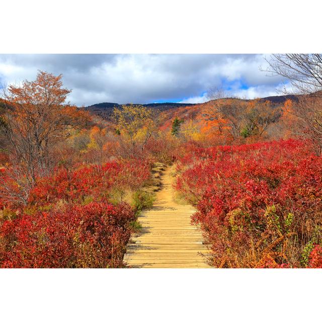 Flintwood Graveyard Fields by Sean Board - Wrapped Canvas Art Prints 17 Stories Size: 61cm H x 91cm W x 3.8cm D on Productcaster.