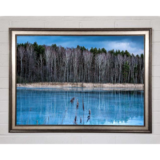 Ice Lake - Single Picture Frame Art Prints Union Rustic Size: 29.7cm H x 42cm W x 1.5cm D on Productcaster.