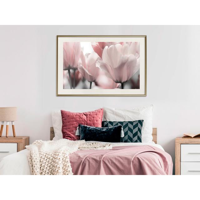 Gerahmtes Poster Pastel Tulips II ModernMoments Rahmenauswahl: Mattgoldener Rahmen, Größe: 40 cm H x 60 cm B x 1,5 cm T on Productcaster.