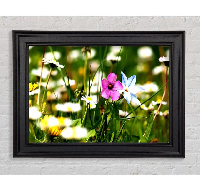 Single Picture Frame Art Prints Brayden Studio Size: 21cm H x 42cm W on Productcaster.