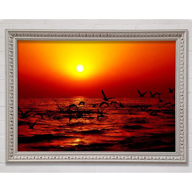 Red Ocean Flight - Single Picture Frame Art Prints Bright Star Size: 21cm H x 29.7cm W x 3cm D on Productcaster.