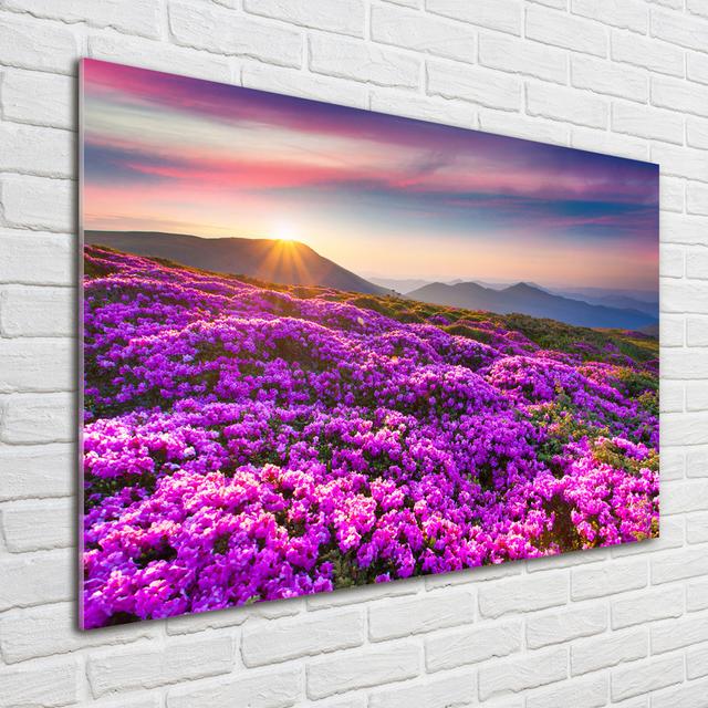 Glass Print Wall Art 100X70cm Image Printed On Glass Decorative Wall Picture Behind Toughened / Tempered Safety Real Glass For Kitchen & Living Room T on Productcaster.