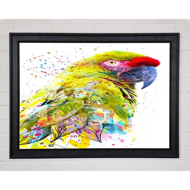 The Green Parrot Splatter - Print 17 Stories Size: 59.7cm H x 84.1cm W x 1.5cm D, Format: Matte Black Framed Paper on Productcaster.