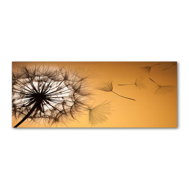 Pusteblume - Kunstdrucke auf Leinwand Brayden Studio on Productcaster.