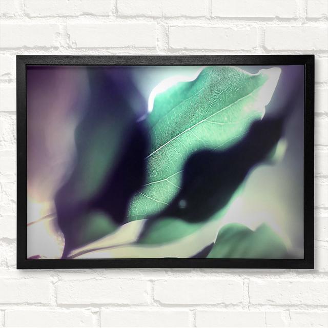 Leaves Hidding From The Light Framed Print Latitude Run Size: 42cm H x 59.7cm W on Productcaster.