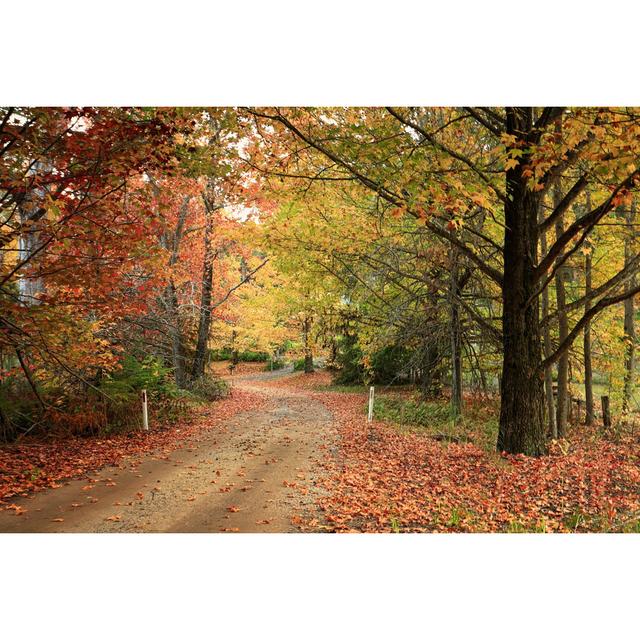 Country Road Meandering Through Trees With Autumn Foliage by Lovleah - Wrapped Canvas Print Union Rustic Size: 51cm H x 76cm W x 3.8cm D on Productcaster.