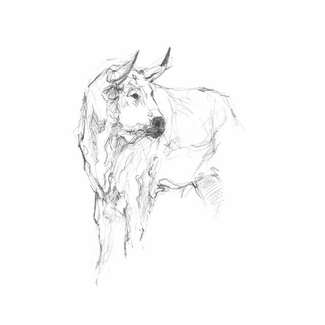 Bull Study II by Ethan Harper - Wrapped Canvas Drawing Brambly Cottage Size: 30cm H x 20cm W on Productcaster.