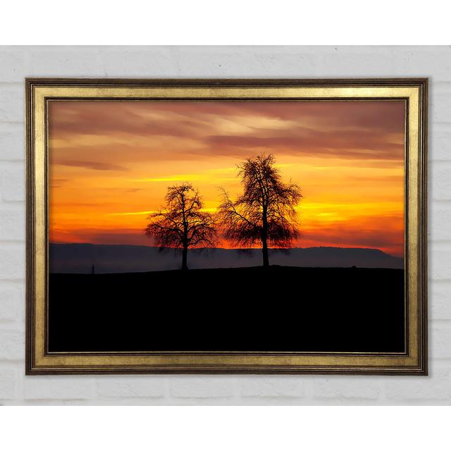 BGUC9375 - Single Picture Frame Art Prints Brayden Studio Size: 42cm H x 59.7cm W x 1.5cm D on Productcaster.