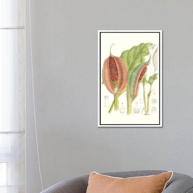 Tropical Variety VI by Curtis - Gallery-Wrapped Canvas Giclée on Canvas Lark Manor Size: 66.04cm H x 45.72cm W, Format: White Floater Framed on Productcaster.