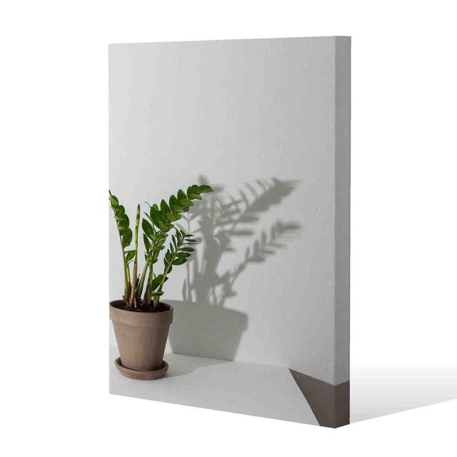 Zamioculcas by Andrew Lee - Wrapped Canvas Print Brayden Studio Size: 101cm H x 76cm W x 4cm D on Productcaster.