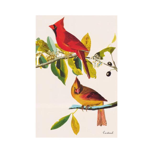 Cardinal by John James Audubon - Wrapped Canvas Wrapped Canvas ClassicLiving Size: 45.72cm H x 30.48cm W x 1.905cm D on Productcaster.