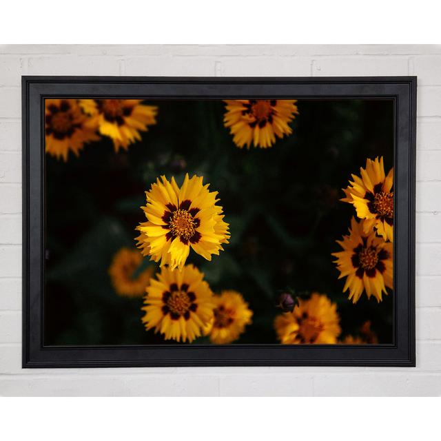 Yellow Flowers In The Dark Framed Print Rosalind Wheeler Size: 84.1cm H x 118.9cm W x 1.5cm D on Productcaster.