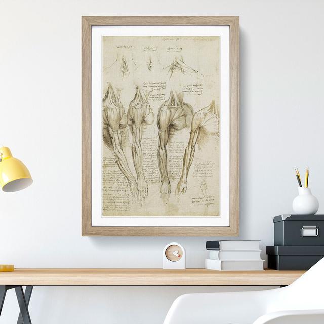 Human Anatomy Vol.8 by Leonardo Da Vinci - Picture Frame Drawing East Urban Home Frame Option: Oak Framed, Size: 65cm H x 48cm W x 2cm D on Productcaster.