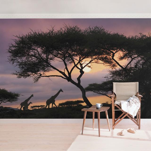 Strukturierte Fototapete African Safari East Urban Home Größe: 4,8 m x 320 cm, Materialqualität: Premium (150 g/qm) on Productcaster.