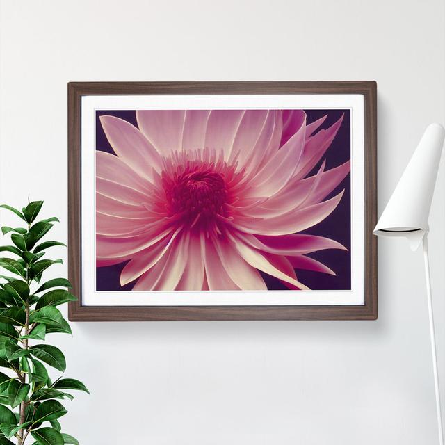 Cute Chrysanthemum Flower - Single Picture Frame Print ClassicLiving Frame Colour: Walnut, Size: 46cm H x 64cm W x 2cm D on Productcaster.