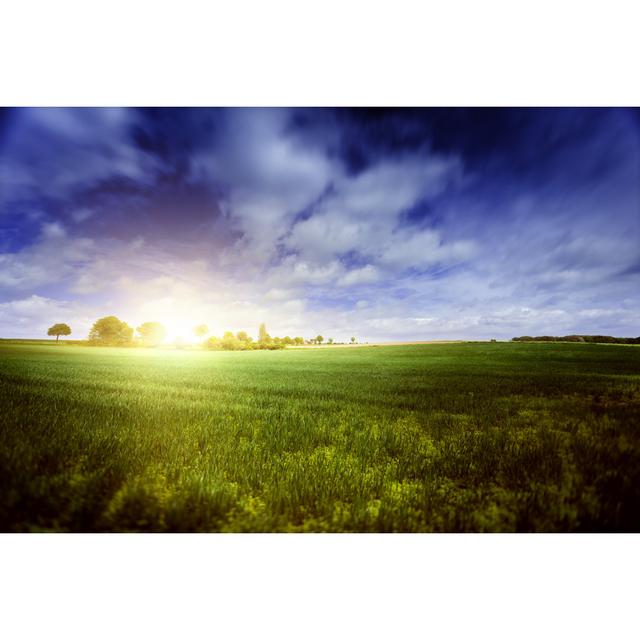 Green Field Over Blue Moody Sky by Da-kuk - No Frame Art Prints on Canvas 17 Stories Size: 51cm H x 76cm W on Productcaster.