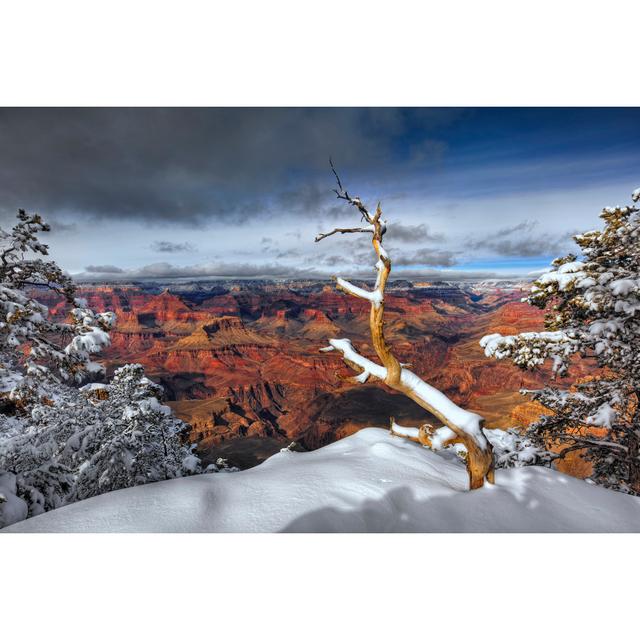 Snowy Grand Canyon III by David Drost - Wrapped Canvas Print Alpen Home Size: 81cm H x 122cm W x 3.8cm D on Productcaster.