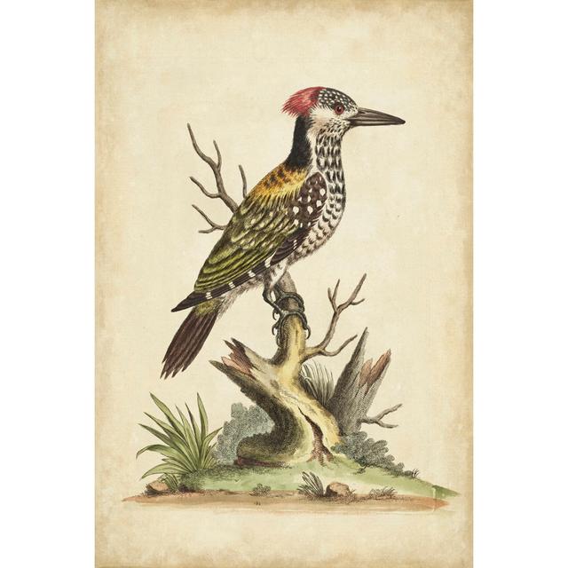 Edwards Woodpecker Rosalind Wheeler Size: 91cm H x 61cm W x 3.8cm D on Productcaster.