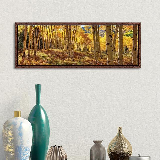 Autumn Aspen Colorado Forest Panorama - Panoramic Photograph Print on Canvas Alpen Home Frame Option: Brown Framed, Size: 30.48cm H x 91.44cm W x 3.81 on Productcaster.