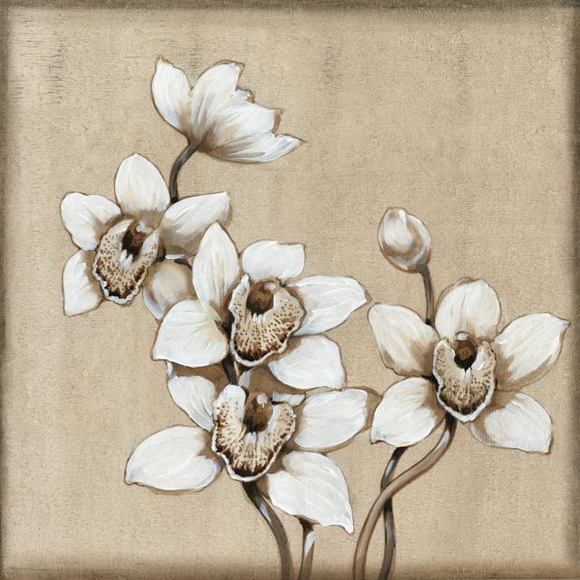 White Orchid I - Wrapped Canvas Painting Print Rosalind Wheeler Size: 122cm H x 122cm W x 3.8cm D on Productcaster.