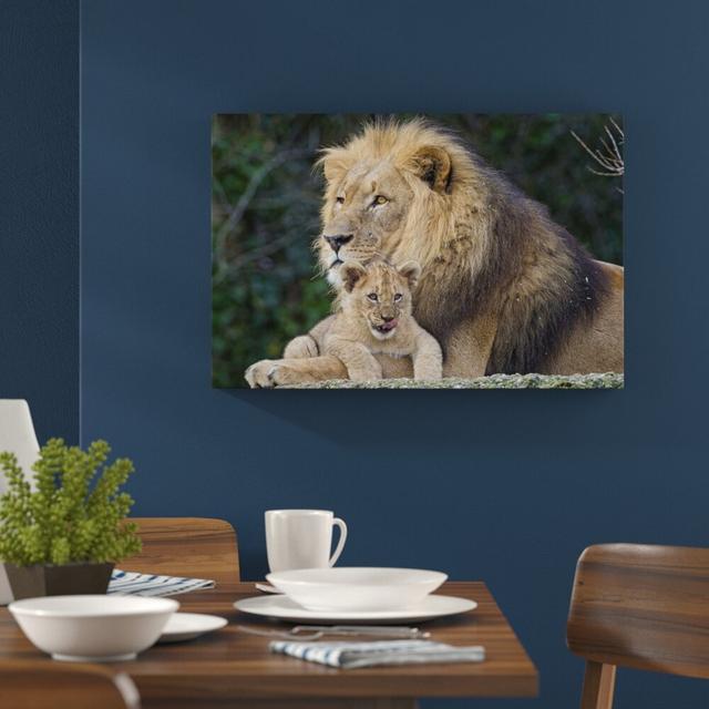 Leinwandbild „Lieber Löwe mit Jungtier", Fotodruck World Menagerie Größe: 40 cm H x 60 cm B on Productcaster.