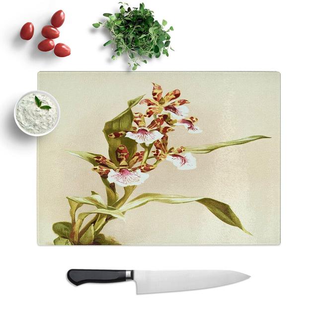 Glass Magnolia Flowers Illustration Tab. 73 by Frederick Sander Chopping Board East Urban Home Size: 28.5 cm W x 20 cm L on Productcaster.