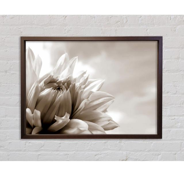 Blossoming Sepia - Print Brayden Studio Size: 59.7cm H x 84.1cm W x 3.3cm D, Format: Walnut Framed Canvas on Productcaster.