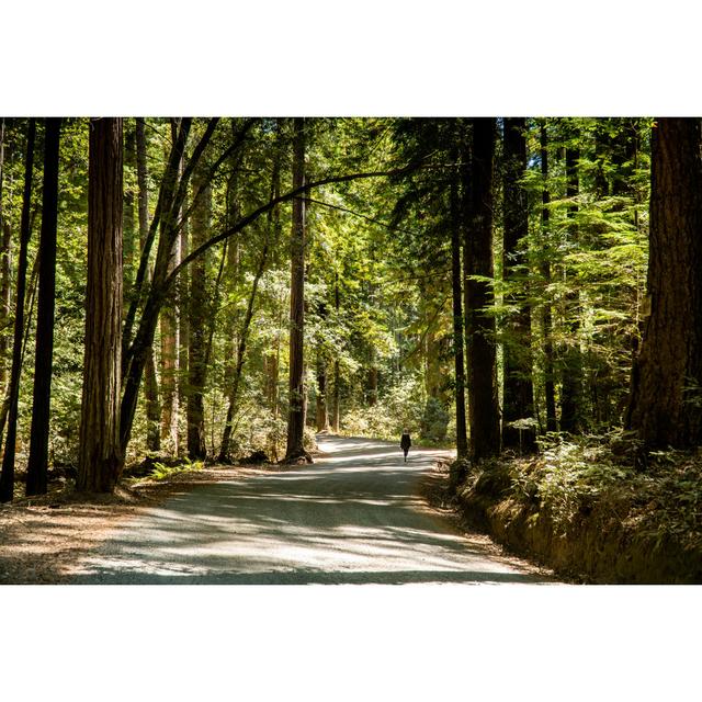 The Forest With Female Hiker by Spiderplay - Print Alpen Home Size: 20cm H x 30cm W on Productcaster.