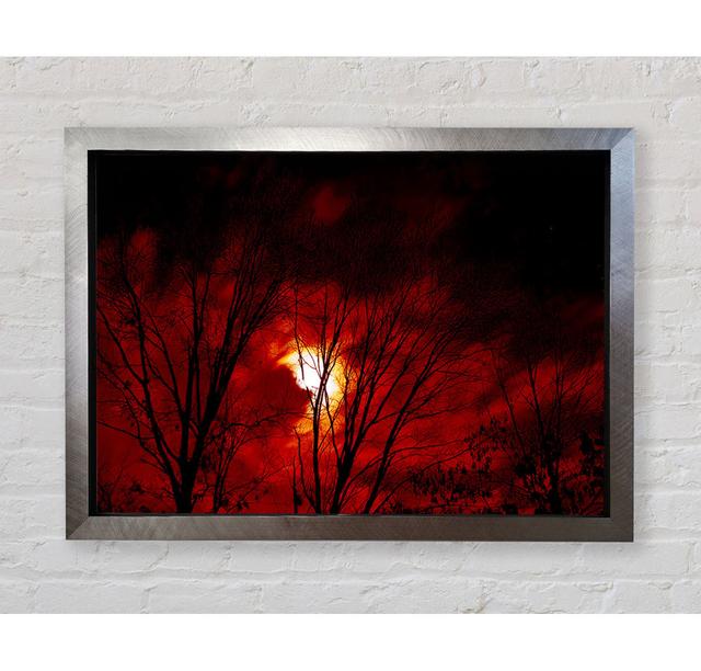 Red Moonlight - Single Picture Frame Art Prints Bright Star Size: 42cm H x 59.7cm W x 3.4cm D on Productcaster.