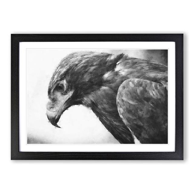 Golden Eagle Vol.2 - Picture Frame Painting East Urban Home Size: 27cm H x 36cm W x 2cm D, Frame Option: Black Framed on Productcaster.