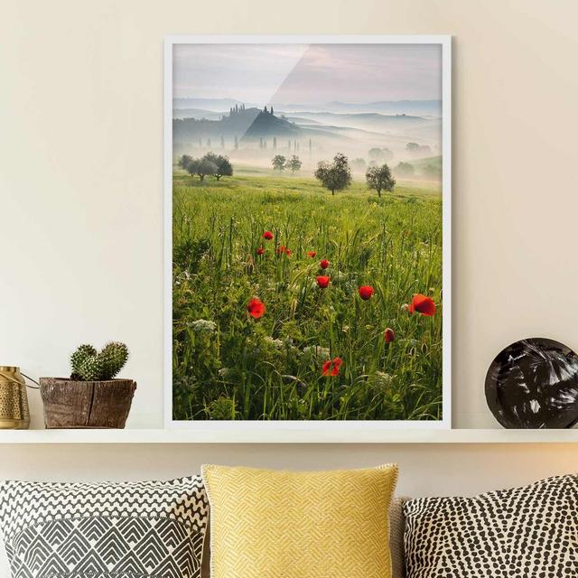 Tuscany Spring - Picture Frame Graphic Art Marlow Home Co. Size: 70cm H x 50cm W x 2cm D, Frame Option: White Framed on Productcaster.