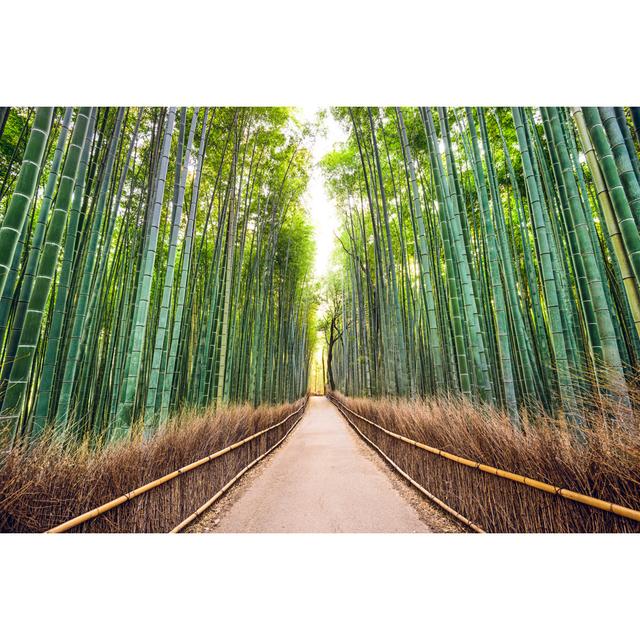 Bamboo Forest by SeanPavonePhoto - Wrapped Canvas Photograph Pergo Classics Size: 51cm H x 76cm W x 3.8cm D on Productcaster.