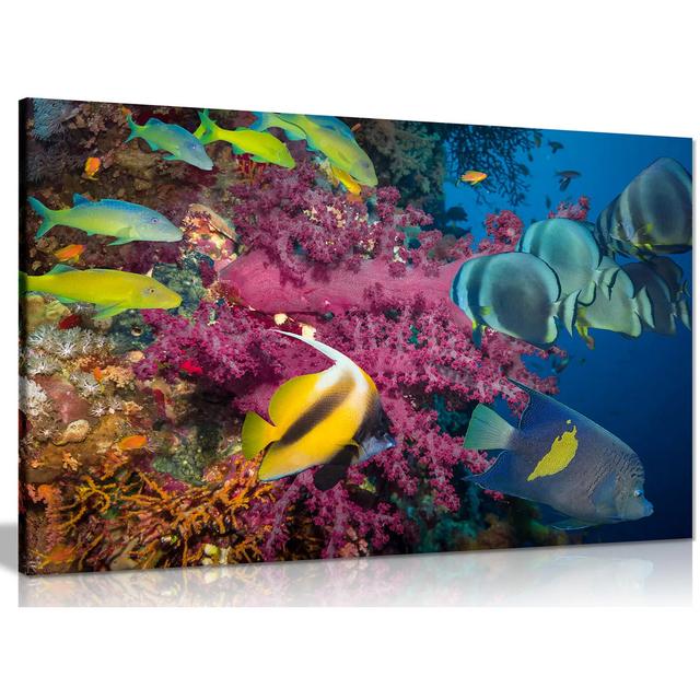 Tropical Fish & Coral Canvas Wall Art Picture Print Panther Print Size: 41cm H x 61cm W on Productcaster.