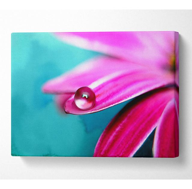 Water Drop on a Pink Petal - Wrapped Canvas Art Prints House of Hampton Size: 81cm H x 121.9cm W x 10cm D on Productcaster.