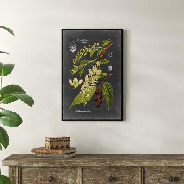 Midnight Botanical II by Vision Studio - Wrapped Canvas Graphic Art Print Brambly Cottage Size: 76cm H x 51cm W, Format: Wrapped Canvas on Productcaster.