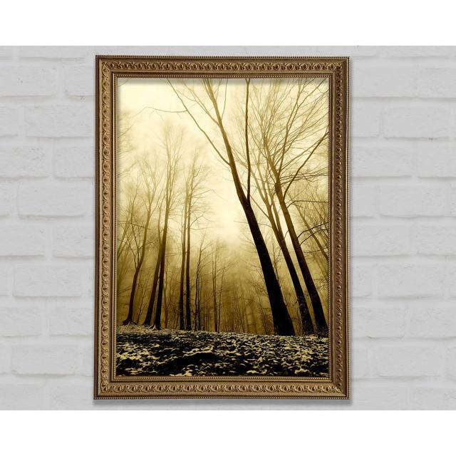 In The Depth Of The Forest Framed Print Bright Star Size: 29.7cm H x 21cm W x 3cm D on Productcaster.